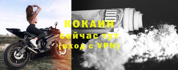ешки Белокуриха