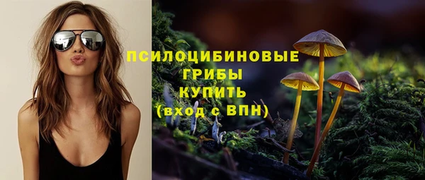 ешки Белокуриха