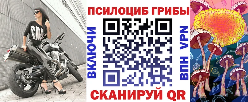 Галлюциногенные грибы Cubensis  Купить  Рудня 